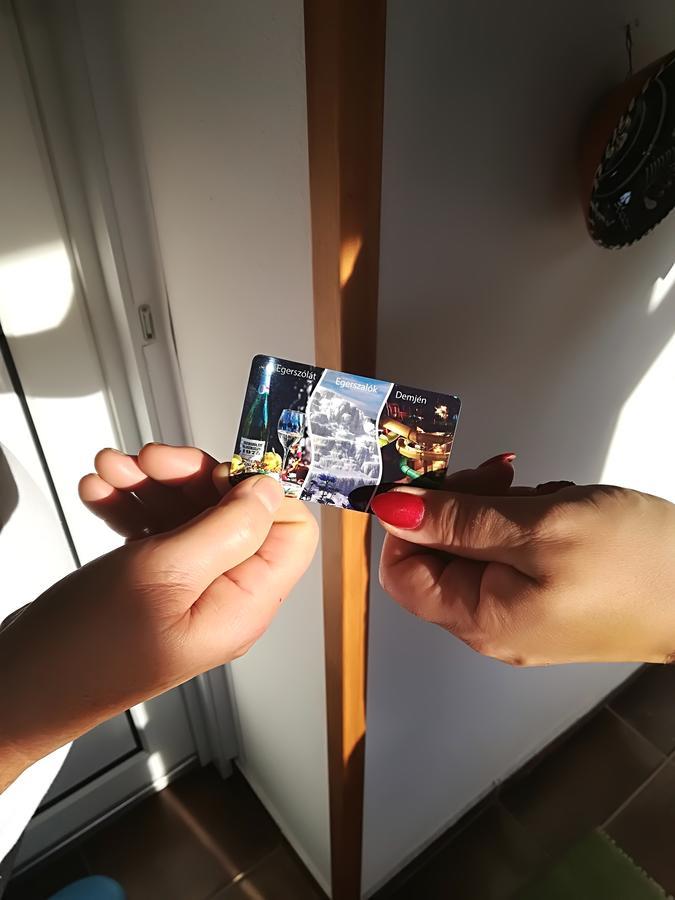 דירות Harmony Vendeghaz אגרסאלוק מראה חיצוני תמונה